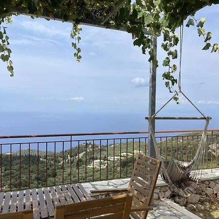 Sun Gazing 4* Drymon