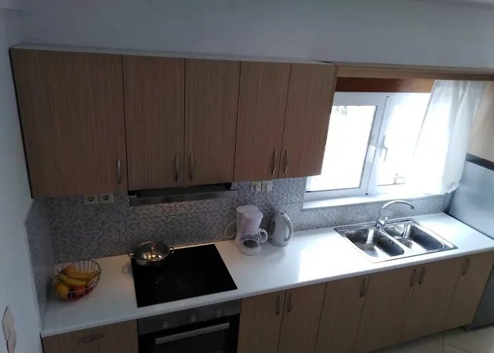 Sun Gazing 4* Drymon